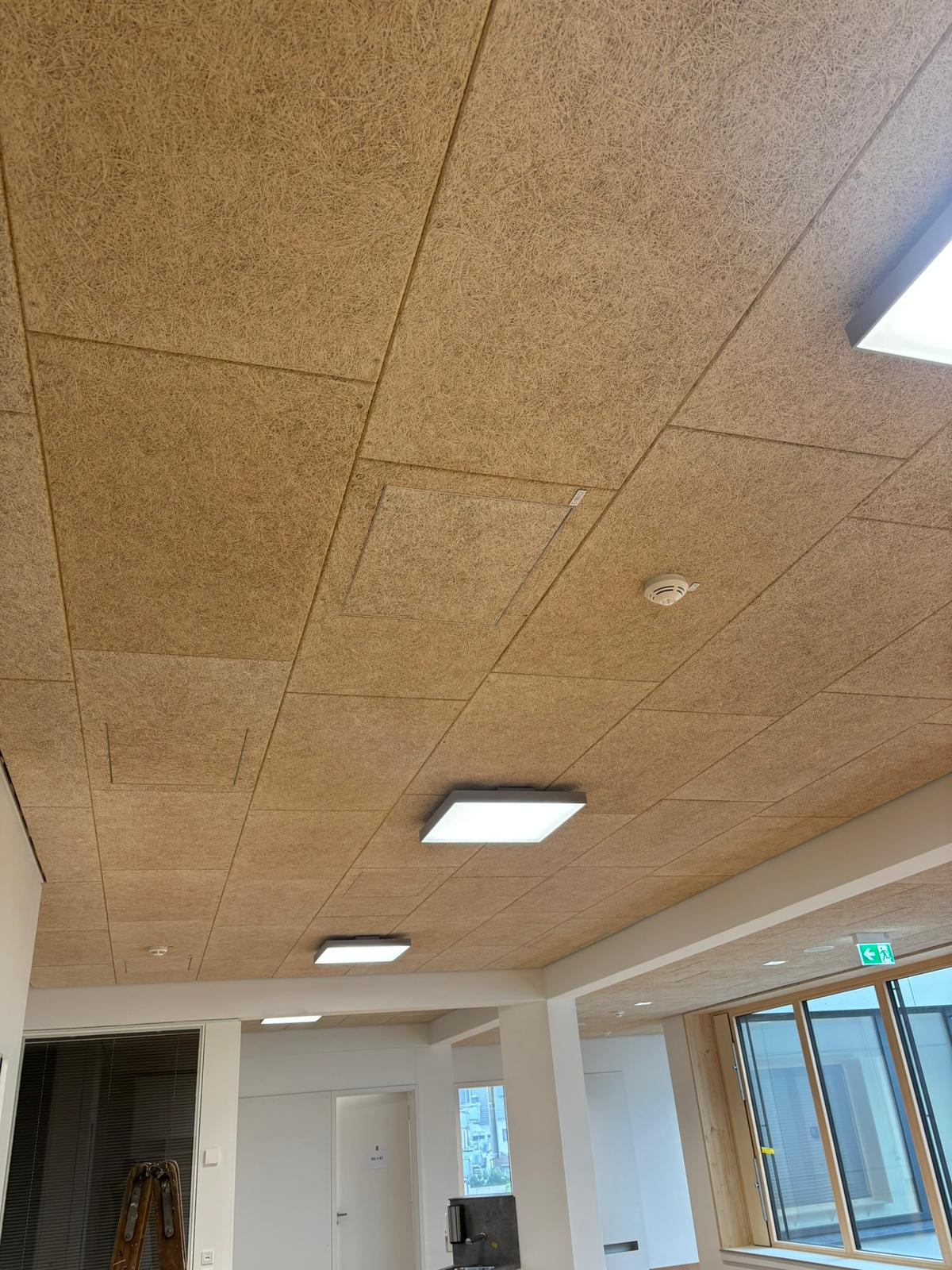 Karl‑Treutel‑Schule – Kelsterbach Bild 14